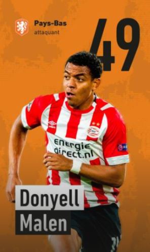 49 - Donyell Malen