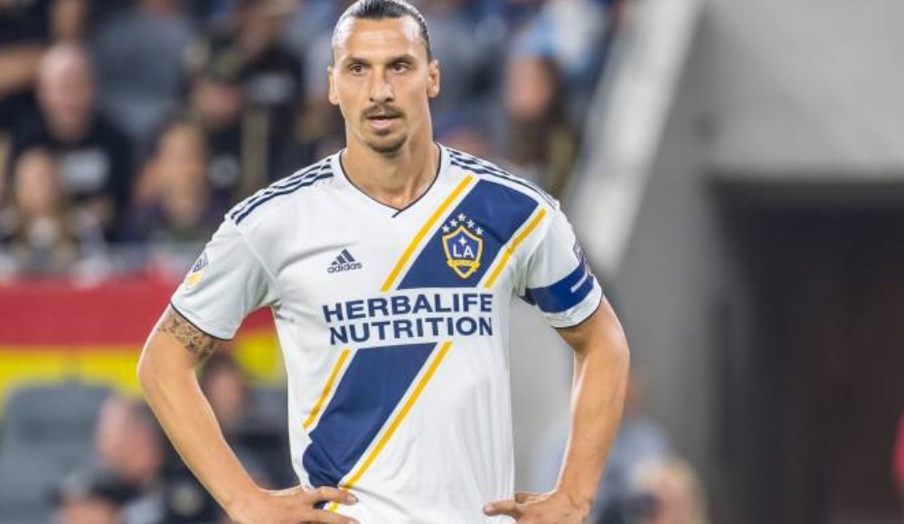 Bologna'dan flaş Zlatan Ibrahimovic açıklaması