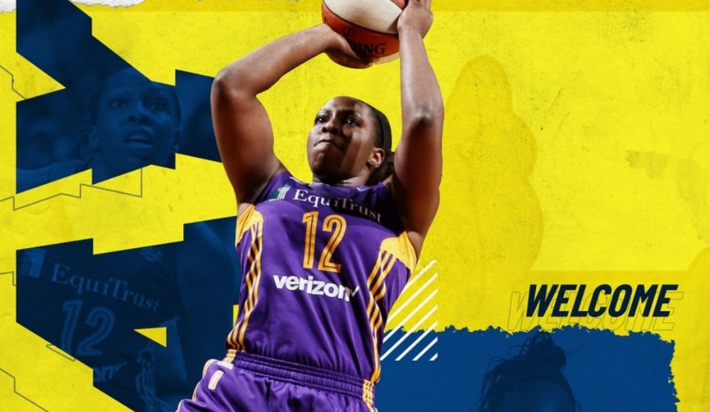 Chelsea Gray, Fenerbahçe Öznur Kablo'da