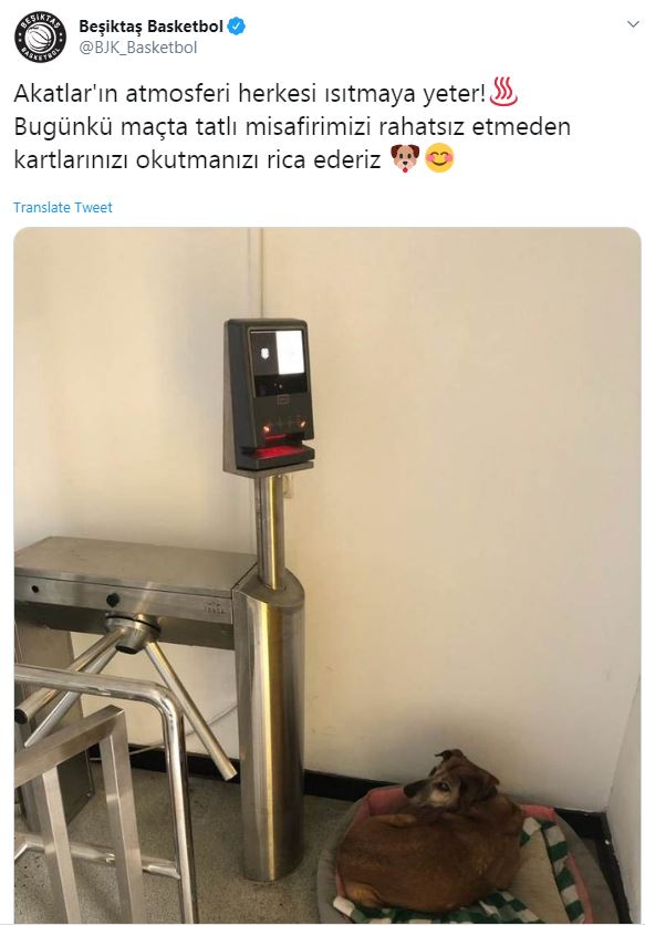 İşte Beşiktaş'ın paylaşımı