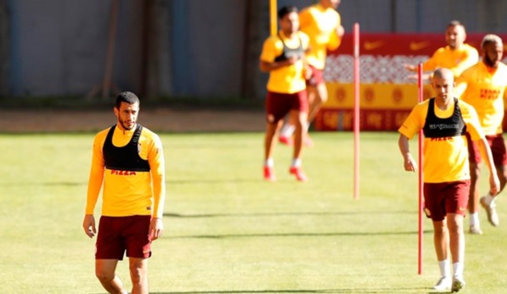 Yer hazır, Aslan kararsız