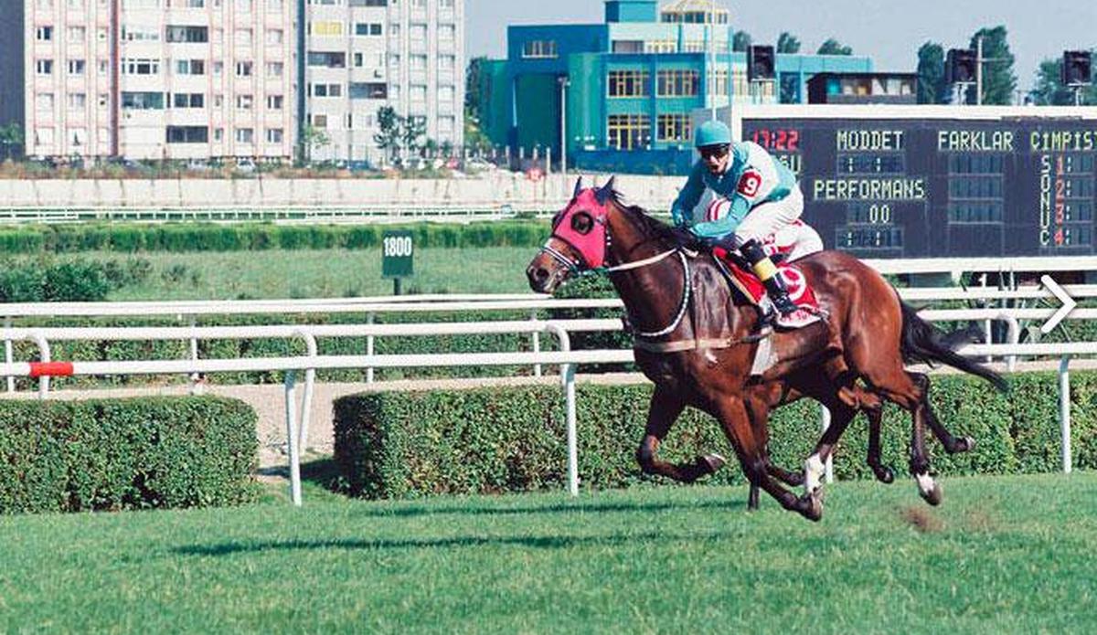 En son Triple Crown yapan at hangisi?