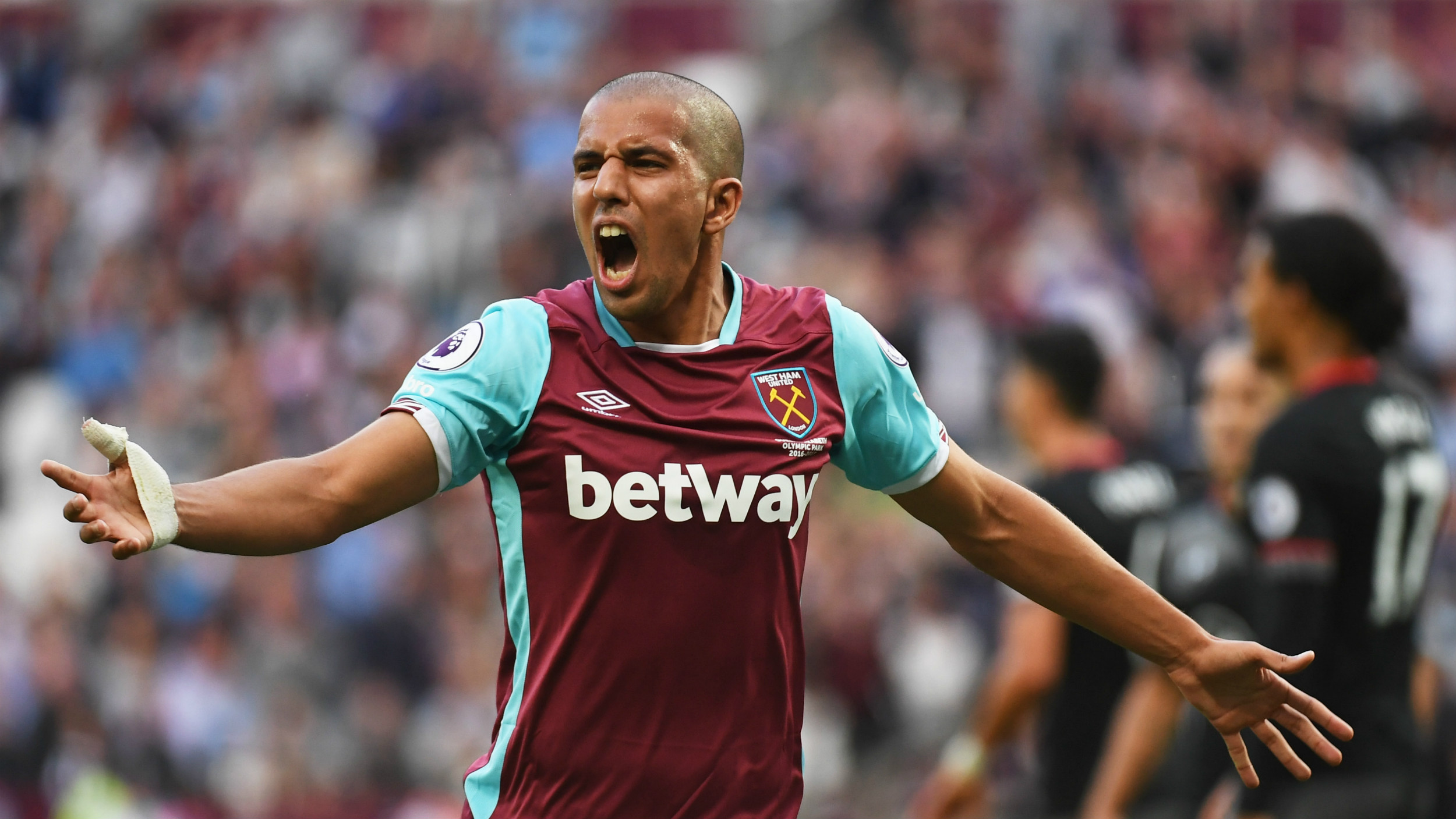 Feghouli hangi takımlarda oynadı?